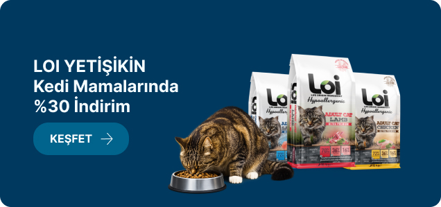 Kedi Ürünleri