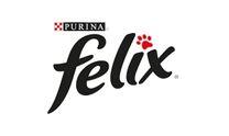 Felix - logo